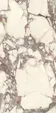 PL612671 Calacatta Viola Luc Ret 60x120 — фото 4