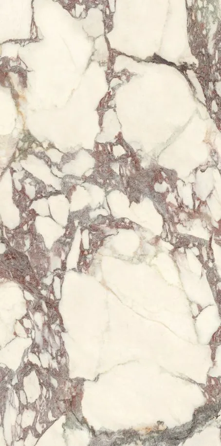 PL612671 Calacatta Viola Luc Ret 60x120 — 4