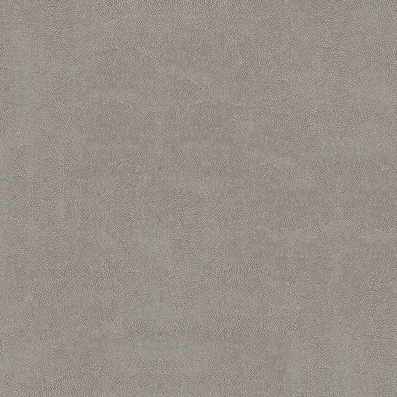 FT3STG25 Stingray Graphite — 1