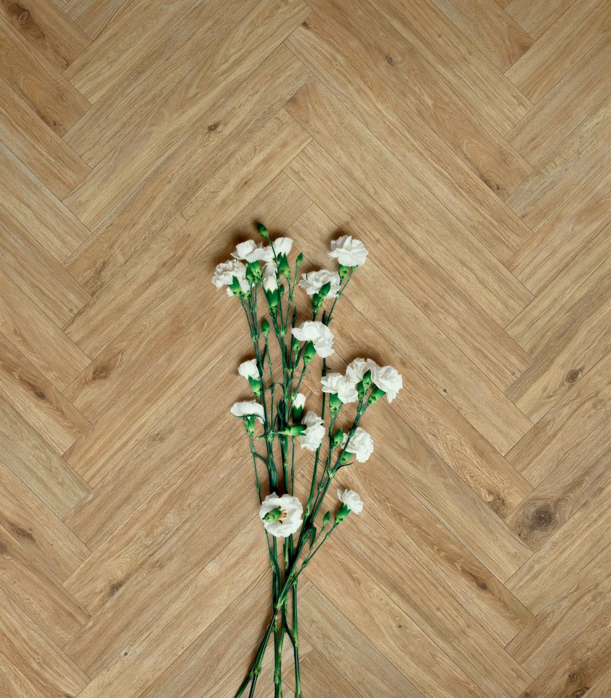 Woodglam Ragno — 6