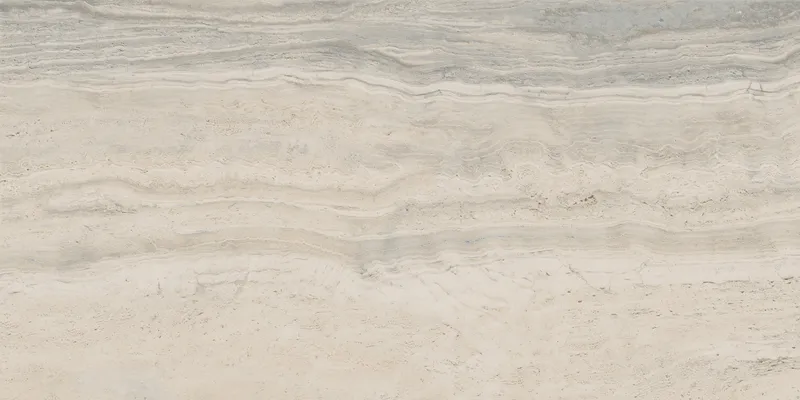 PF60005213 Bone Vein — 7