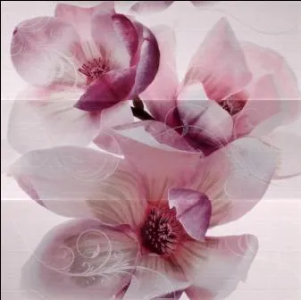 Dec.Niza 806 Lavanda Set.3 — 1