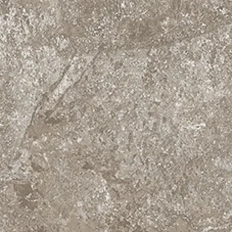 Dynasty Grey — 1