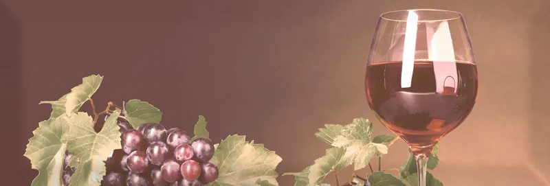 Decor Wine 01 A — 1