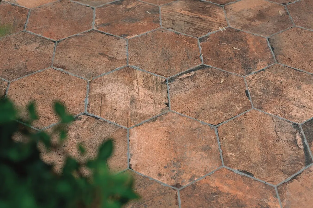 Chicago Serenissima — 12