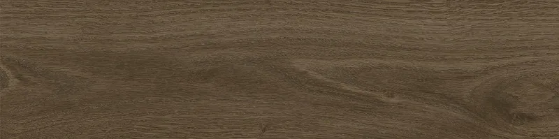 Tregui dark 8x33 — 1