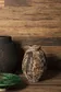 FS Wild Peronda — фото 7