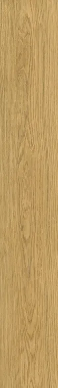 05389 Solorovere Flamed 20x120 — 1