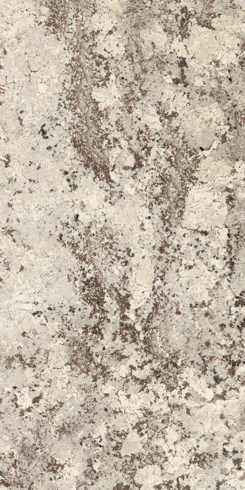 PLP612685 Alaska White Lapp — 2