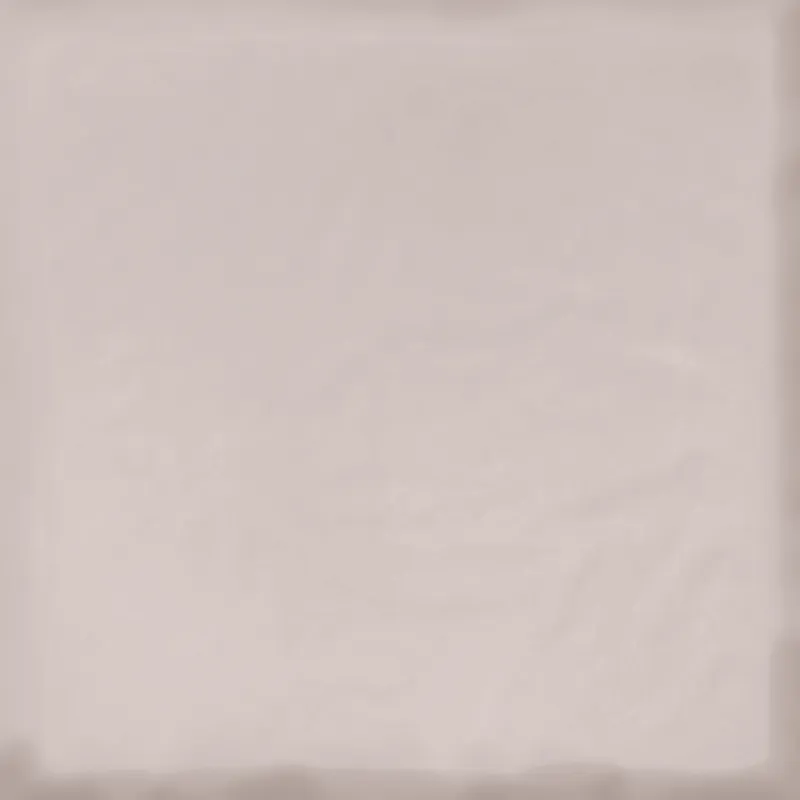 Taupe — 8