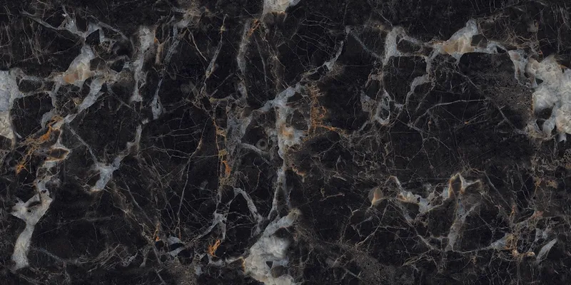 N20444 Nero Picasso Polished — 3