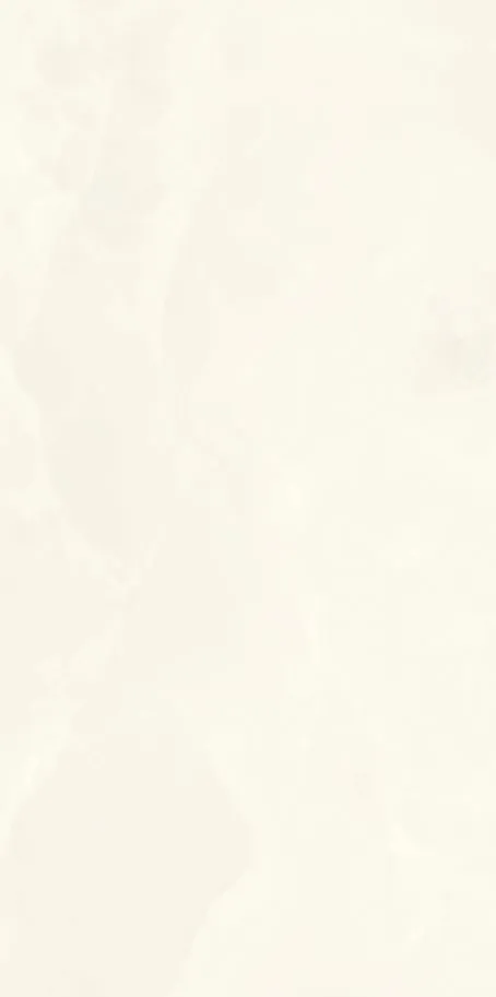 PK612400 Onice Bianco Extra lev. silk — 6