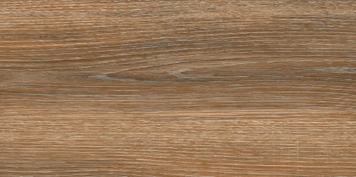 6260-0021-1001 — 1