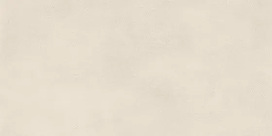 AJNP Ivory — 1