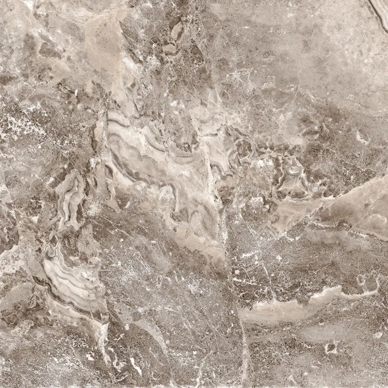 Gala Tortora — 1