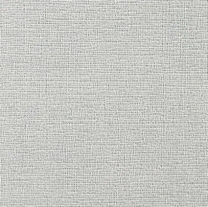 Toulouse Grey — 1