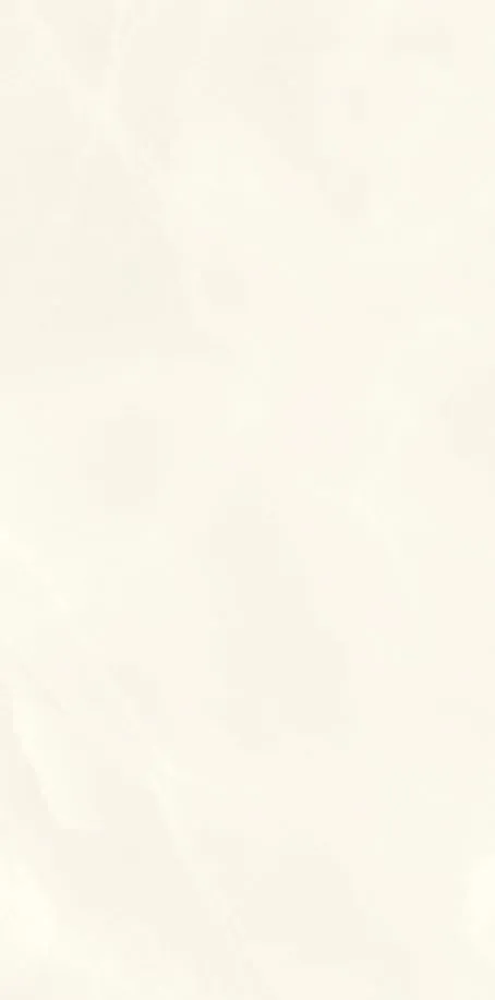 PK612400 Onice Bianco Extra lev. silk — 2
