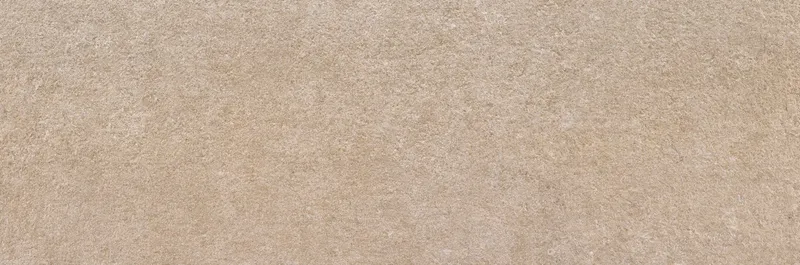 Ozone Taupe — 1