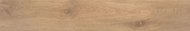 Articwood Camel — 1
