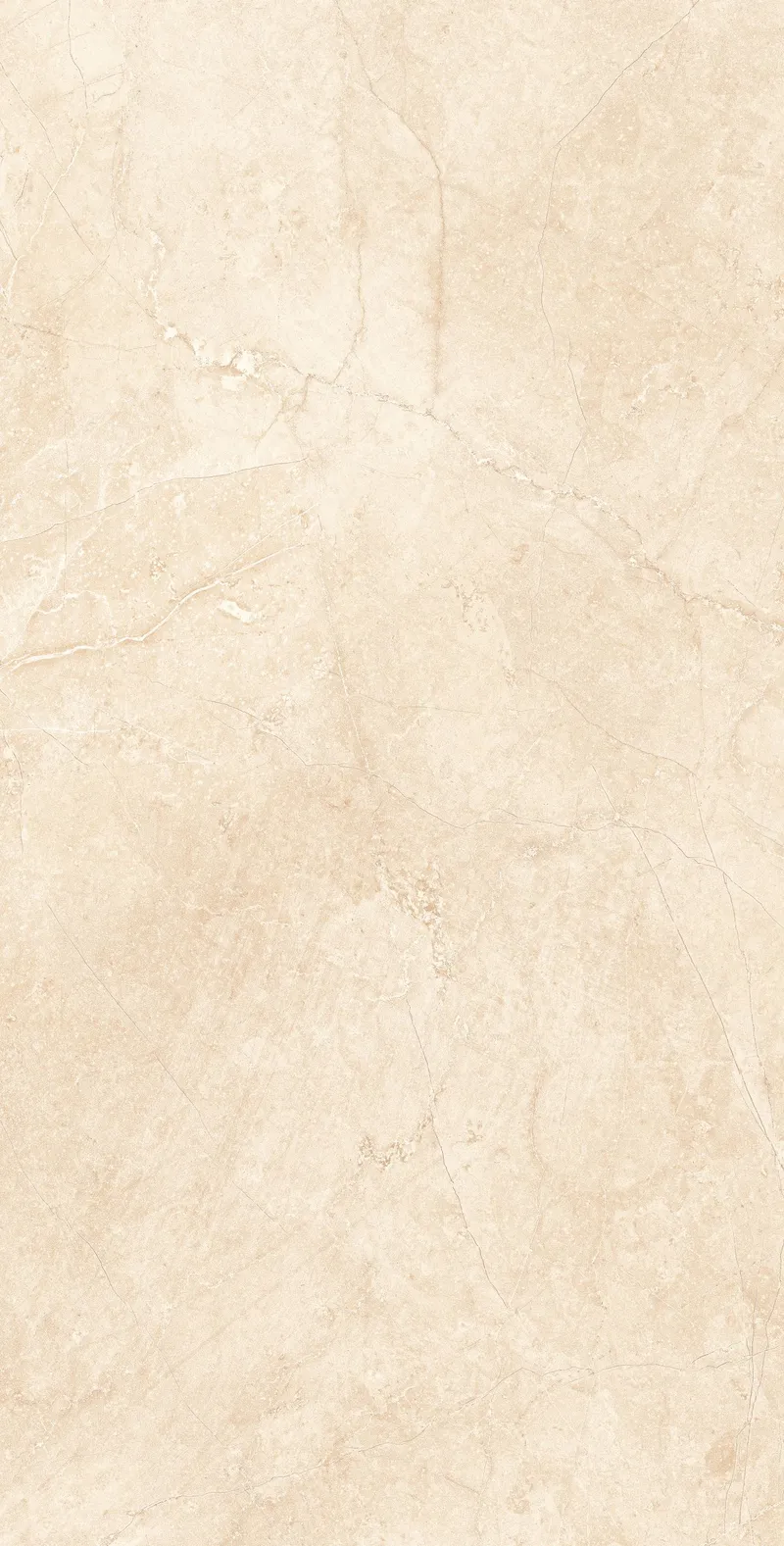 Light Beige MA02/NS — 8