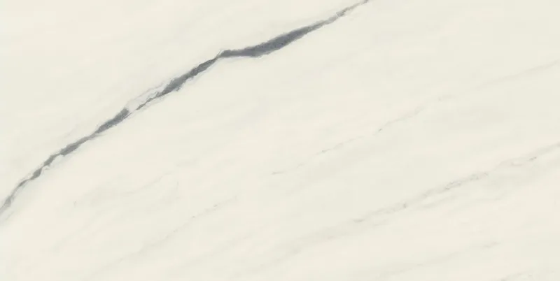 610015000664 Panda White Lapp — 2