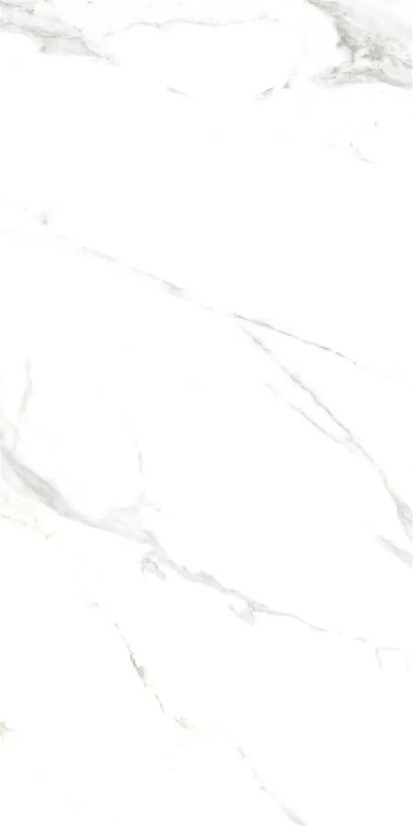 P15006 White — 2