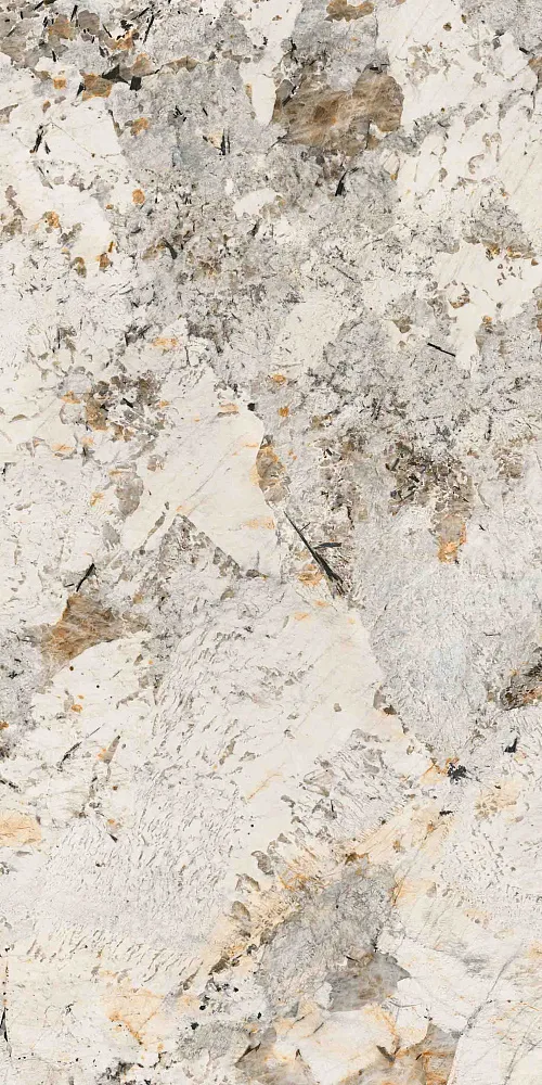 BHW-0042 Phoenix — 6