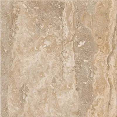 Regis Tortora 58725 — 1