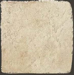 Maya Avorio Tikal — 1