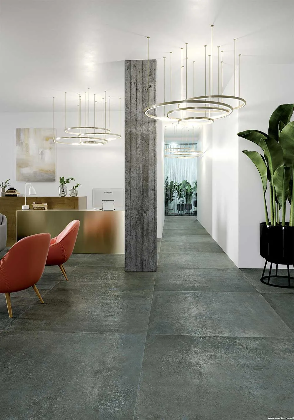 Studio 50 Serenissima — 2
