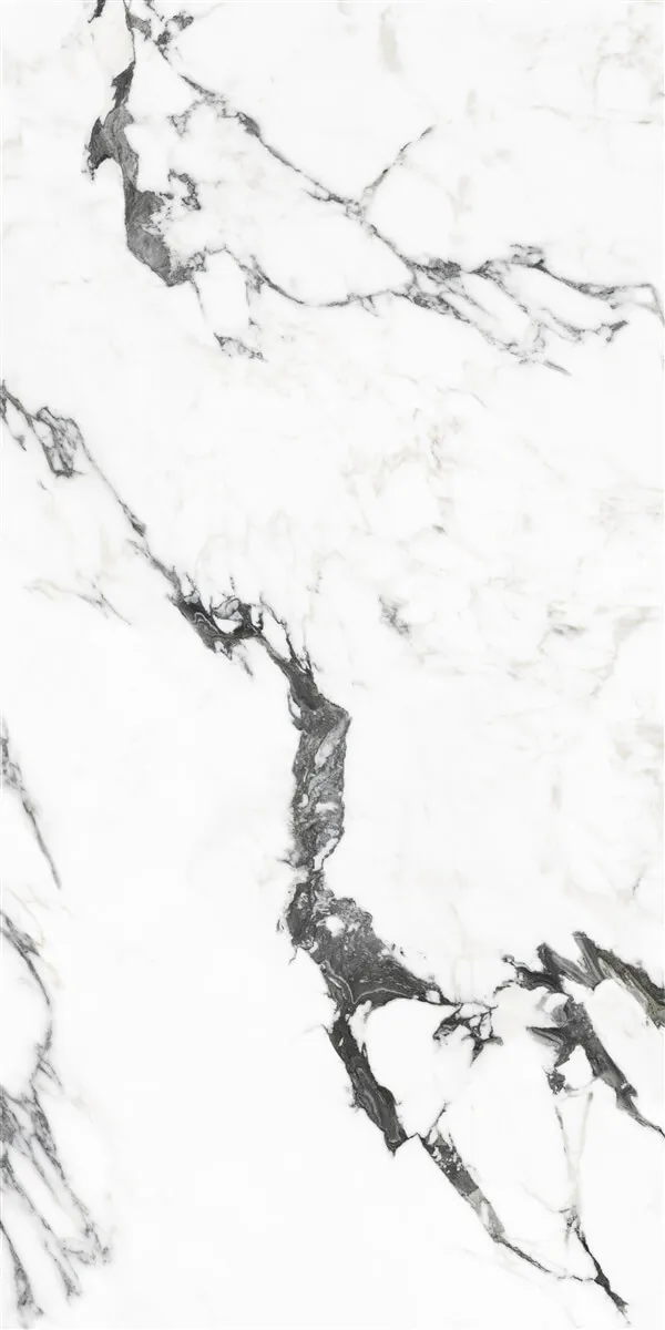 P19707 White — 11
