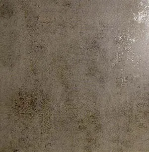 Evolution Gris — 1