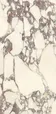 PL612671 Calacatta Viola Luc Ret 60x120 — фото 10