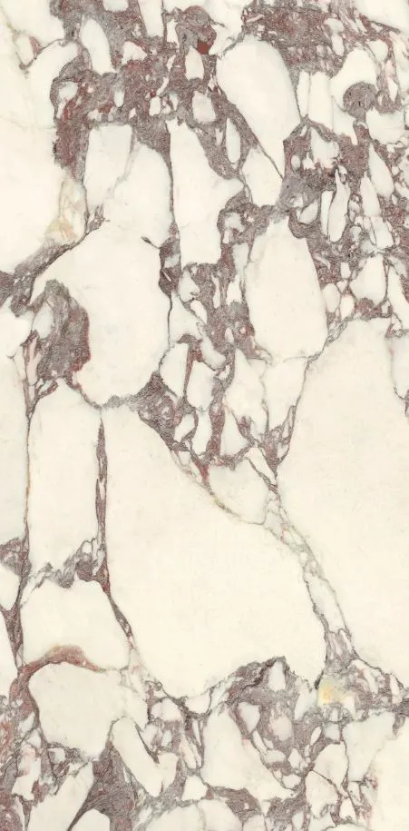 PL612671 Calacatta Viola Luc Ret 60x120 — 10