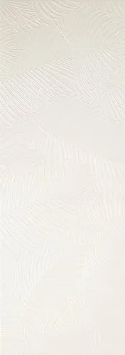 Kentia White Rect — 1