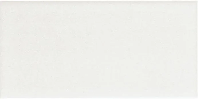ADNE1035 liso Pb Blanco Z — 1