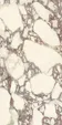 PL612671 Calacatta Viola Luc Ret 60x120 — фото 7