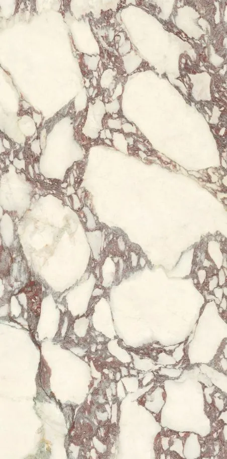 PL612671 Calacatta Viola Luc Ret 60x120 — 7