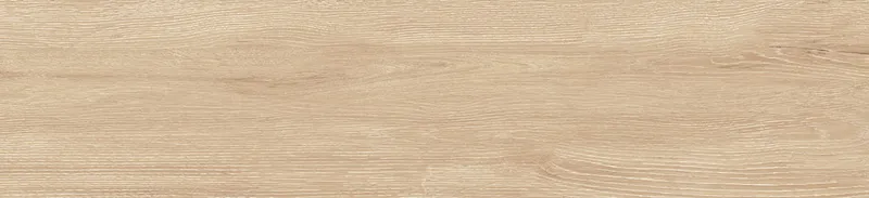 GFA2090GRW04R — 14