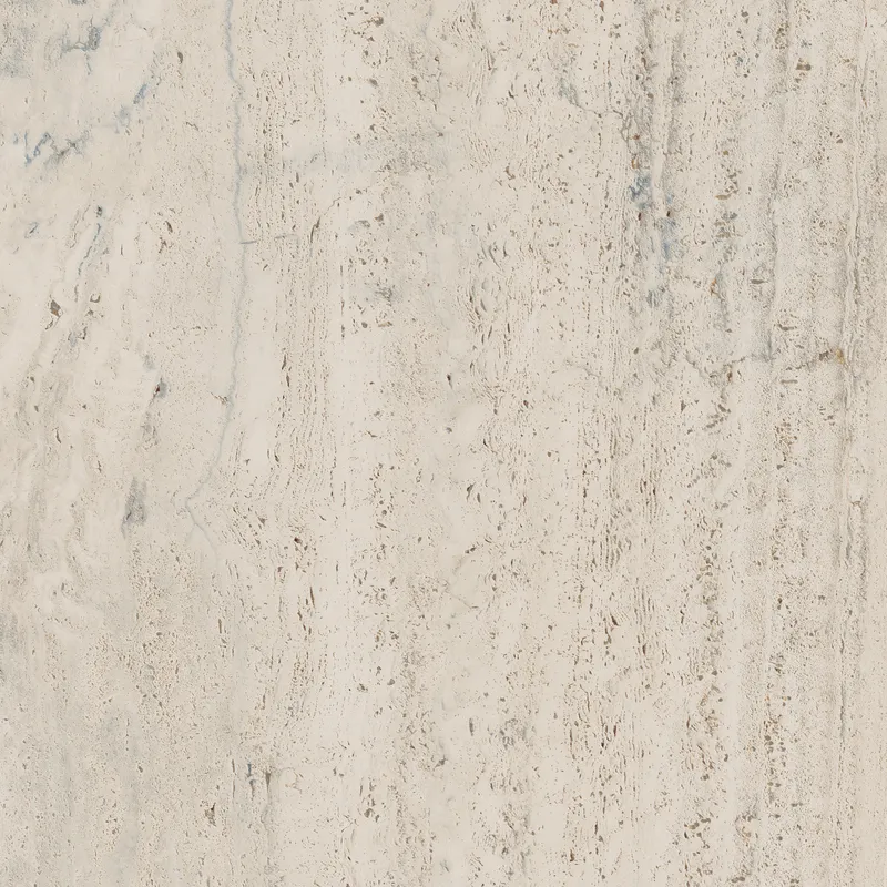 PF60006606 Bone Vein — 3