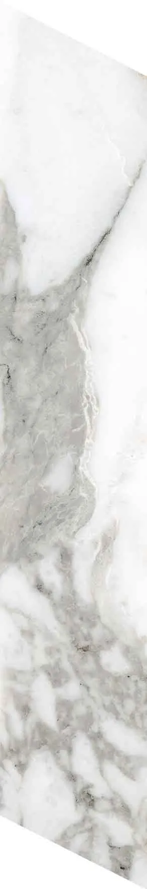 PF60012691 Chevron Bianco Vagli — 21