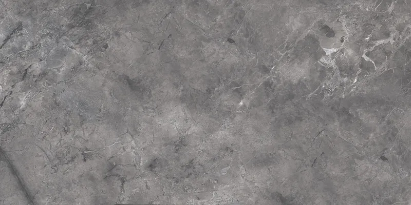 Imagine Grey 60x120 — 1
