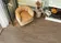 Milton Alma Ceramica — фото 6