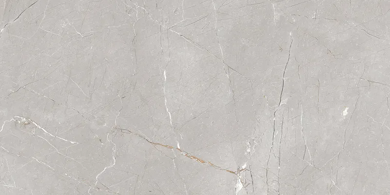 LARICE GREY 60х120 — 1