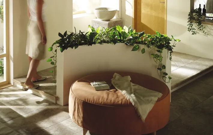 Angkor Lev.Cerdomus — 7