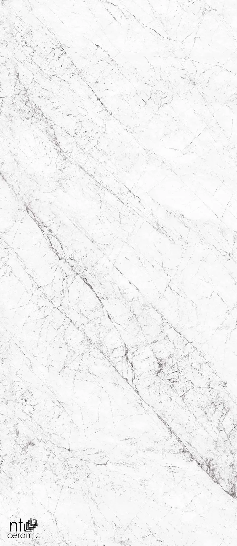 NTT3602C Carrara — 1