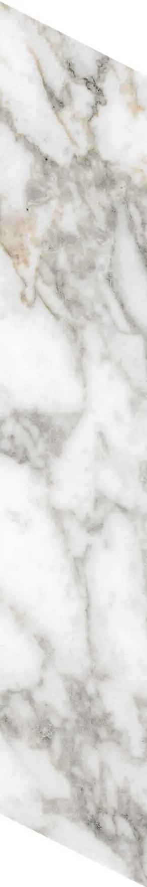 PF60012691 Chevron Bianco Vagli — 15