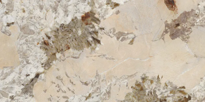 PF60014983 Patagonia Wow Nat — 9