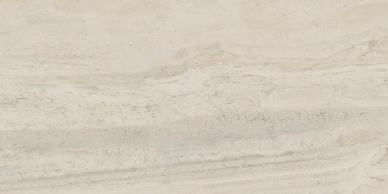 PF60005213 Bone Vein — 8