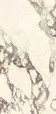 PL612671 Calacatta Viola Luc Ret 60x120 — фото 2